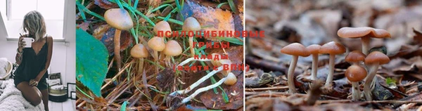 spice Надым