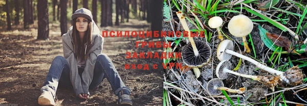 mdpv Абдулино